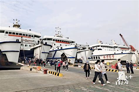 琼州海峡开启“春运模式” 首日预计运送旅客8万人次海事部门船舶