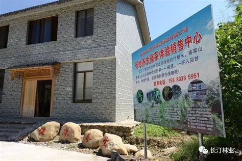 生态视点丨长汀：林下经济在脱贫攻坚中当先锋，抓特色建基地，龙头带整村推