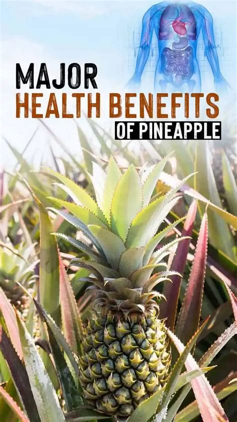 Top 5 Amazing Health Benefits Of Pineapple