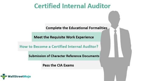 Certified Internal Auditor Cia What Is It