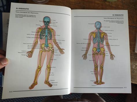 Diccionario De Medicina Oc Ano Mosby Sin Cd Mercadolibre