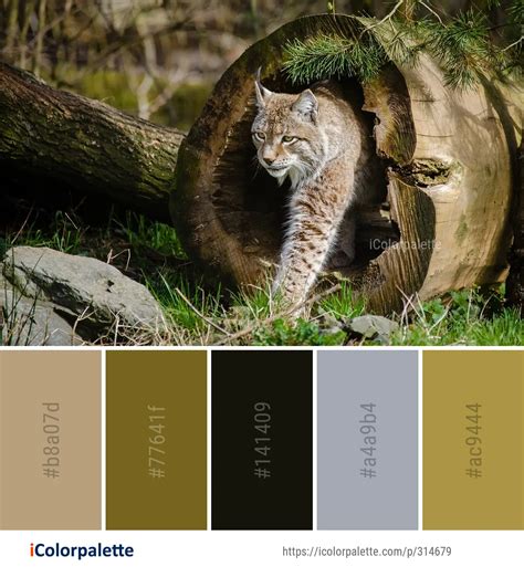 Color Palette Ideas From Wildlife Mammal Fauna Image Icolorpalette