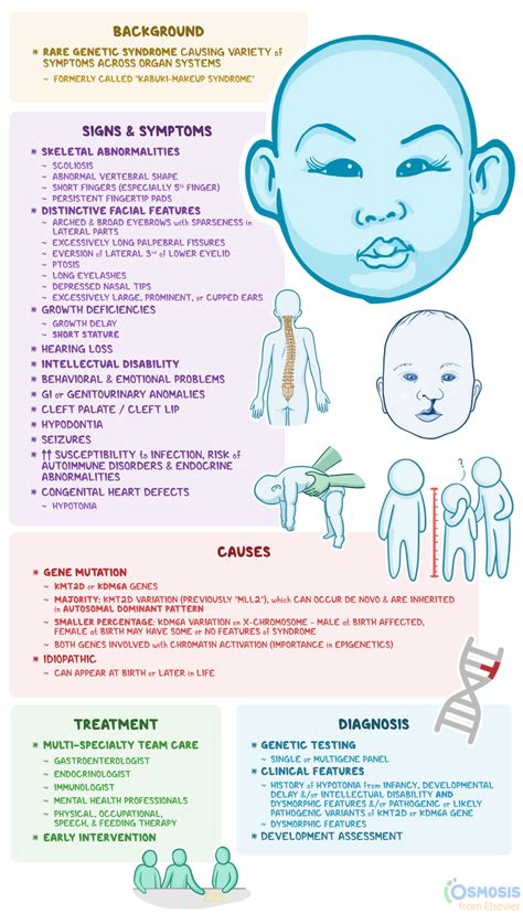 Kabuki Syndrome What Is It Causes Signs Osmosis