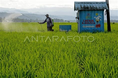 Program Elektrifikasi Pertanian Di Maros Antara Foto