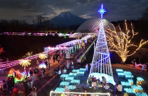 フラワーイルミネーションinとっとり花回廊 西伯郡南部町 の画像詳細 5枚目 ｜イルミネーションガイド2024 2025 ウォーカープラス