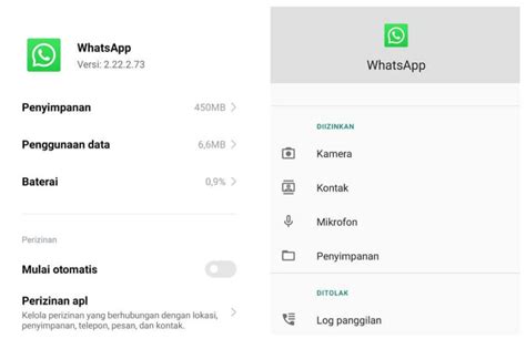 Cara Mengatasi Tidak Bisa Melakukan Panggilan Whatsapp