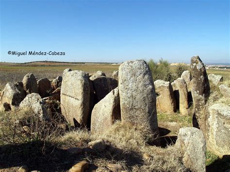 La Jara Pica Y Est Tica La Mejor Tierra De Castilla