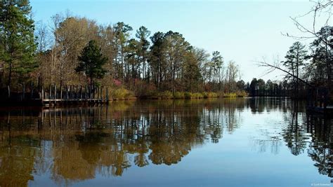 15 Best Lakes In Mississippi The Crazy Tourist