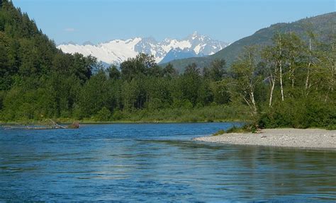 Top 5 Places To Spot Bald Eagles In The Usa