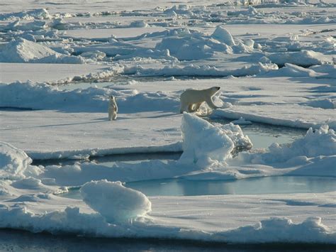 Geogarage Blog The Battle For The North Pole Melting Ice Brings