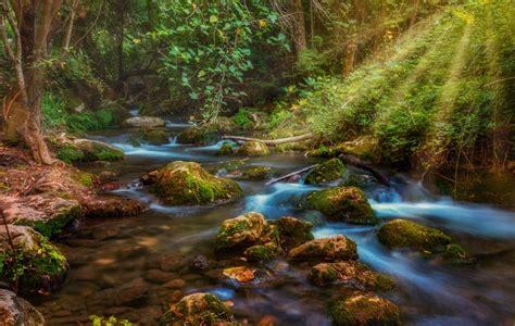 Forests Stones Stream Rays Of Light Moss HD Wallpaper Rare Gallery