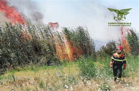 Incendi Nelle Campagne Di Fonni E Sassari In Azione Uomini E Mezzi Del