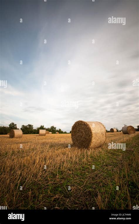 Stubble Field With Straw Bales Stock Photo Alamy