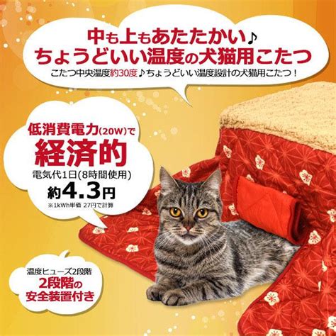 アウトレット 犬猫用こたつ イヌ 猫 こたつ コタツ 猫用こたつ 犬ハウス 犬 ハウス こたつ ねこ 猫のこたつ ネコハウス ネコ ペット