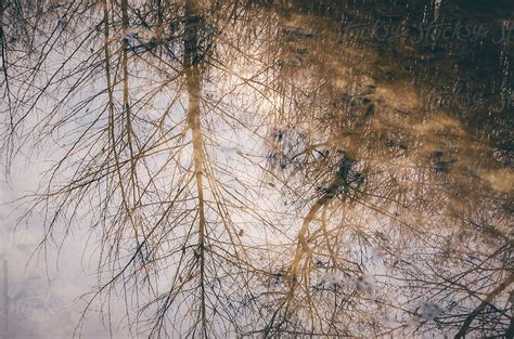 "Forest Pond Reflection" by Stocksy Contributor "Cosma Andrei" - Stocksy