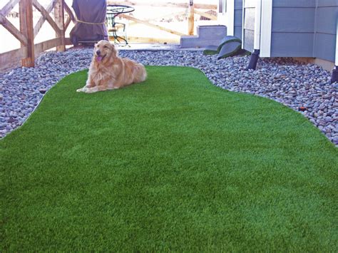 Artificial Turf For A Dog In Lakewood Traditional Garden Denver