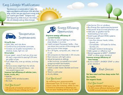 Nessy Designs: Climate Change Brochure