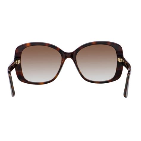 Gg0762s 002 Injection Havana Brown By Gucci Eyewear Sabina