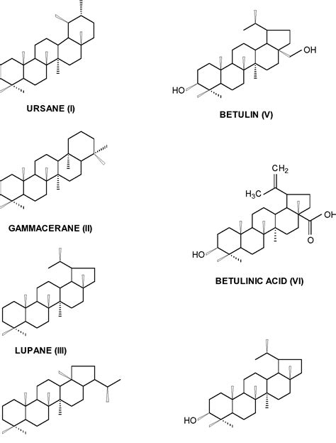 Figure From Biologically Active Pentacyclic Triterpenes And Their