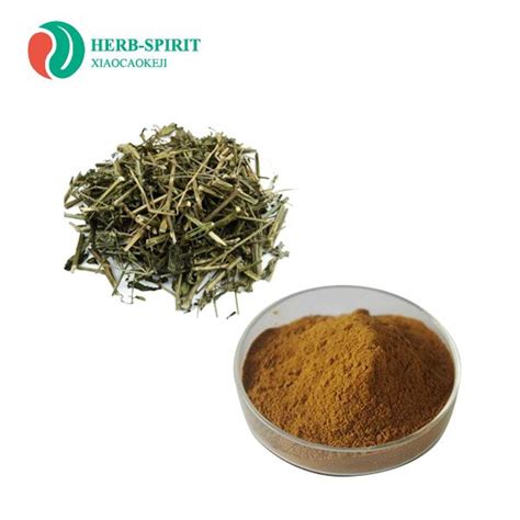 China Andrographis Extract Powder Manufacturers Suppliers Factory