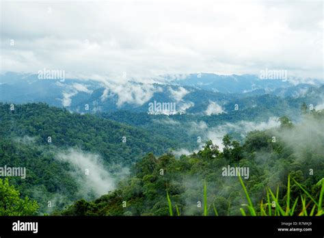 Tropical Mountain Range View View Of Moving Clouds And Fog Over