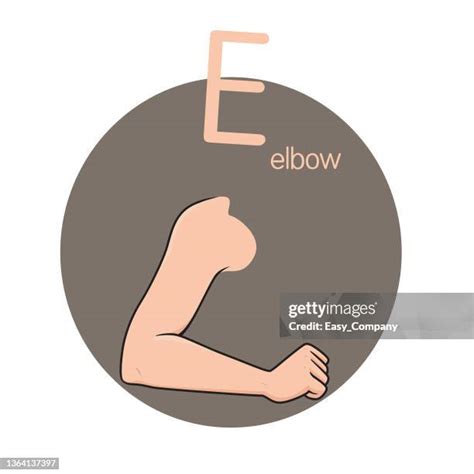 27 Human Elbow Cartoon Stock Photos High Res Pictures And Images