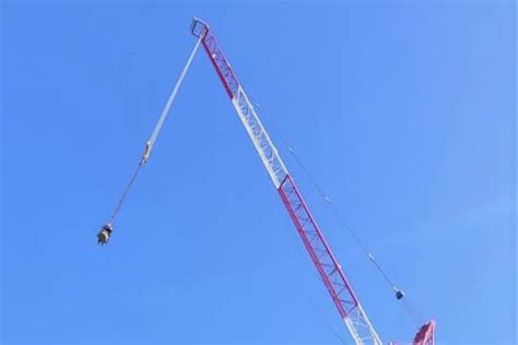 Lr60 Luffing Jib Crane Raimondi Cranes