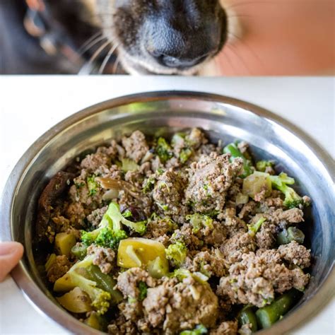 Grain Free Turkey Dog Food Recipe - Pawsome Recipes