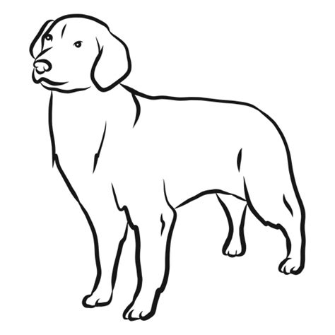 Design Png E Svg De Desenho De Orelha De Cachorro Para Camisetas