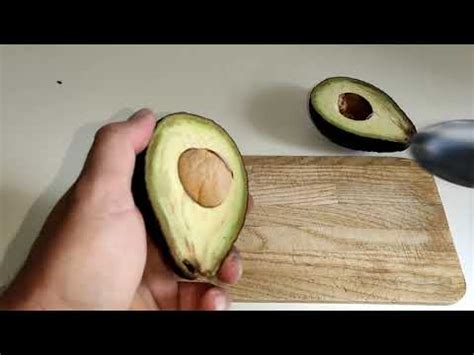 Come Coltivare Lavocado In Casa Partendo Dal Seme Youtube