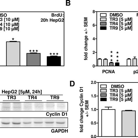 Tr And Tr Inhibit Proliferation Of Human Hepatoma Cells A Hepg