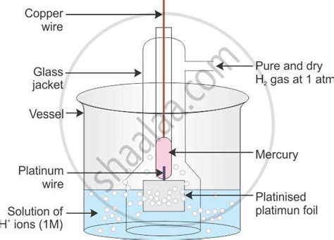 Reference Electrode Diagram