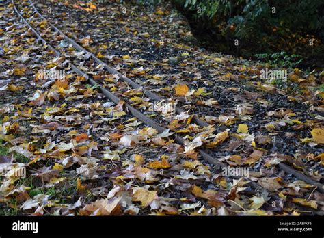 Miniature Railway Hi Res Stock Photography And Images Alamy