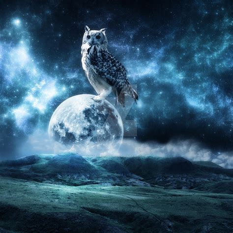 Moon Owl By Sabakunoshi On Deviantart