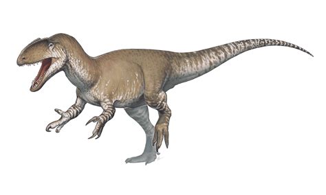 Pictures And Profiles Of 80 Carnivorous Dinosaurs