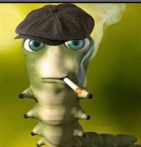 Create Meme A Worm With A Cigarette Funny Caterpillar Caterpillar