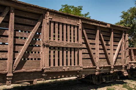 Cattle Car Stock Photos Pictures And Royalty Free Images Istock