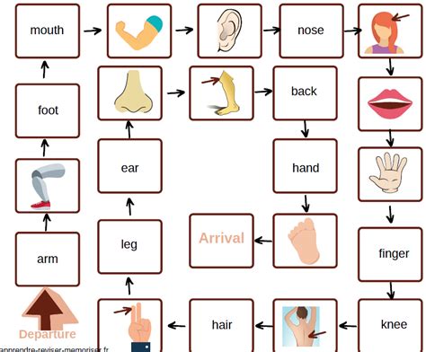 Un Jeu De Plateau Pour R Viser Les Mots Courants En Anglais Animaux Et