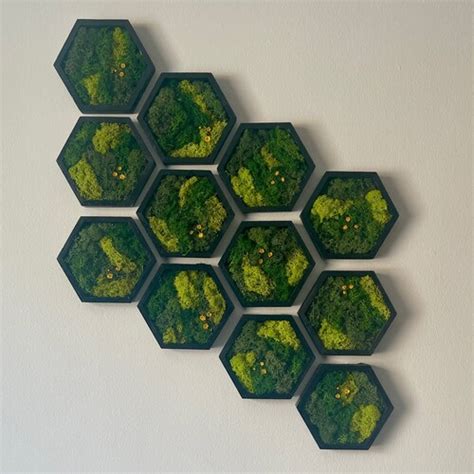 Moss Wall Art Honeycomb Moss Single To Set Of Twelve Etsy