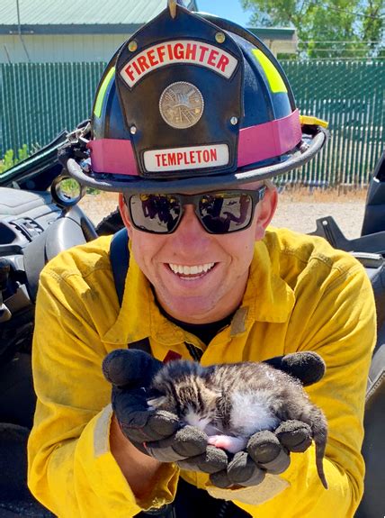 Car Rescue Training Turns Into Kitten Rescue For Templeton Firefighters