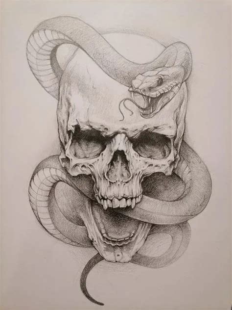 A Pencil Drawing Of A Skull With A Snake Wrapped Around It S Neck And Head