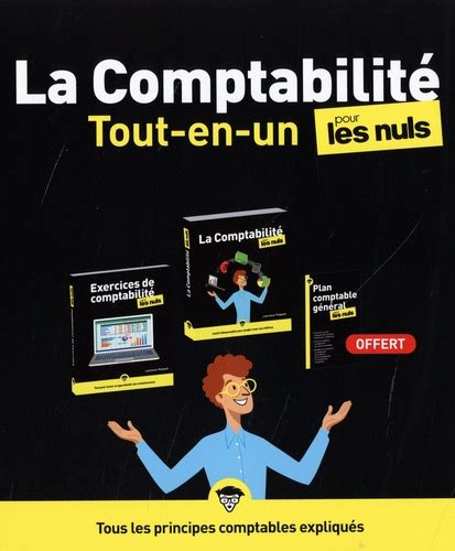 La Comptabilité tout en un pour les Nuls Laurence Thibault