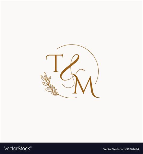 Tm Initial Wedding Monogram Logo Royalty Free Vector Image