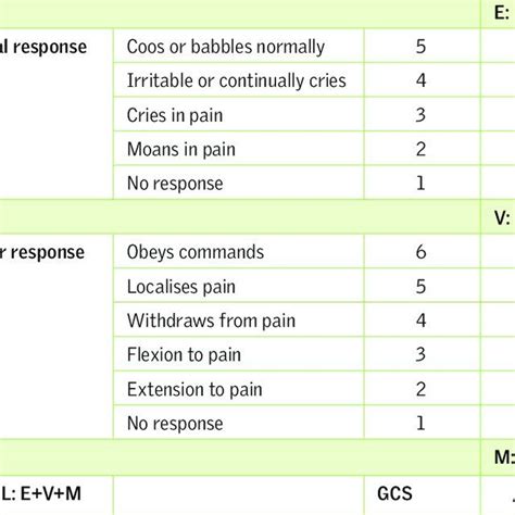 Glasgow Coma Scale Assessment