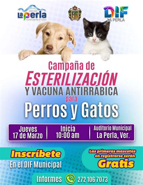 Campaña de Esterilización y Vacuna Antirrábica para Perros y Gatos La