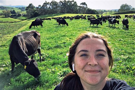 A Summer Among Dairy Cows In New Zealand College Of Agriculture And