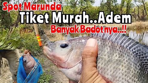 Spot Idaman Pemancing Tiket Murah Tapi Banyak Babon Nya Spotmancing