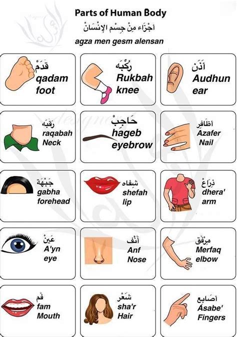 Learning Arabic MSA (#FabienneM) #learnarabiclanguage | Arabic lessons ...