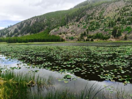 Free Images Landscape Nature Marsh Wilderness Mountain Meadow