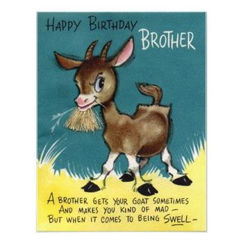 Funny Birthday Wishes For A Brother